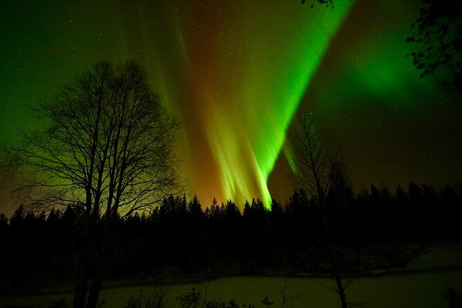 Northern Lights Trip to a Magical Place in Lapland - Who should book this Northern Lights outing?