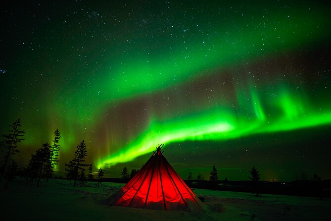 Northern Lights Wilderness Small-Group Tour from Rovaniemi - Guide explanations and photography