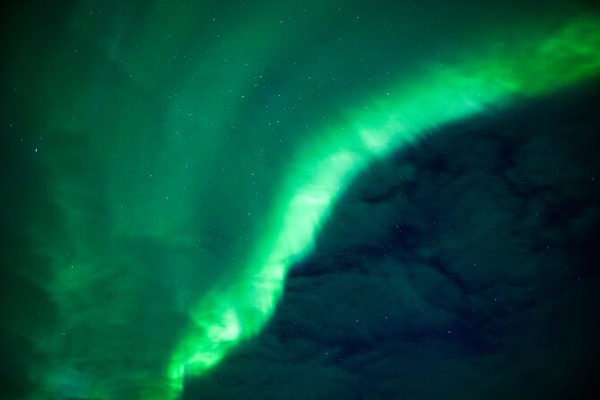 Northern Lights Wilderness Small-Group Tour from Rovaniemi - What the $155.68 price buys you
