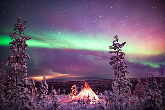Northern Lights Wilderness Small-Group Tour from Rovaniemi - Who will enjoy this four-hour outing