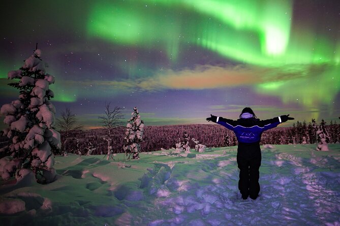 Northern Lights Wilderness Small-Group Tour from Rovaniemi - How the Aurora hunt works