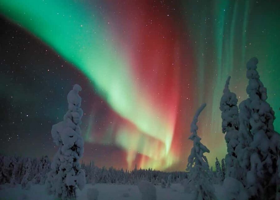 Polar Night Snowshoe Trek - Reading the snow for grouse and reindeer