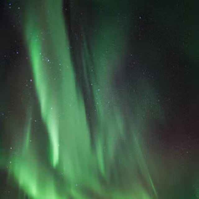 Polar Night Snowshoe Trek - Booking details that affect your decision