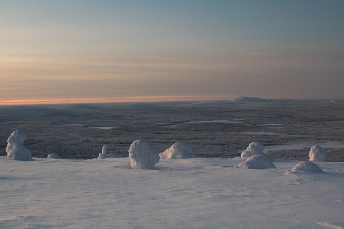 Premium Snowshoeing in Pyhä-Luosto National Park - Is $215.39 a fair price?