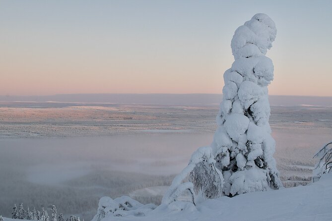 Premium Snowshoeing in Pyhä-Luosto National Park - Who will enjoy this Pyhä snowshoe tour?