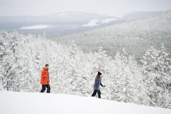 Premium Wilderness Skiing in Pyhä-Luosto National Park - Entering the snowy forest on a private route