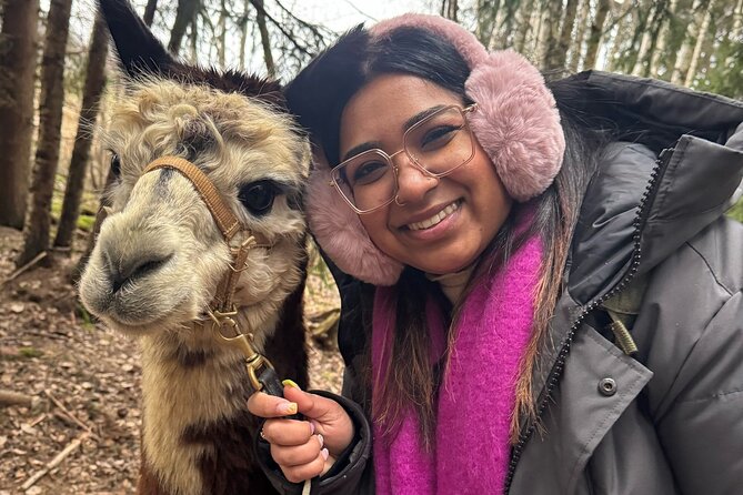 PRIVATE Alpaca Guided Forest Walk + Feeding Helsinki - What the guide adds to the day