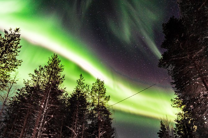Private Aurora Tour (5 or more) by Aurora Experts - Rovaniemi - Fire, barbecue, and hot blueberry juice