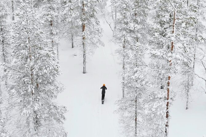 Private Driving Snow Scooters Experience in Finland - Why this electric scooter ride is different