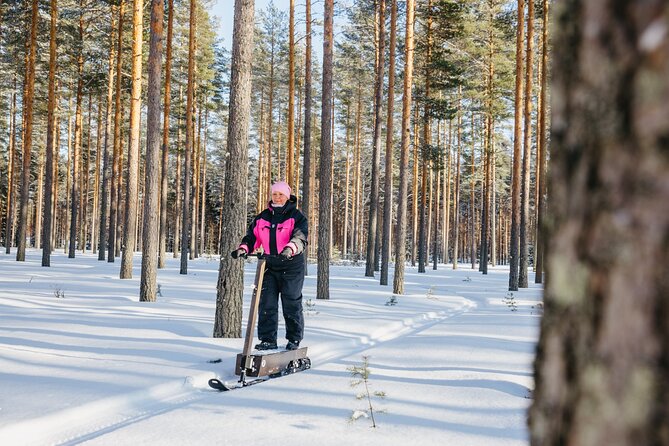 Private Driving Snow Scooters Experience in Finland - What the $102.25 price really covers