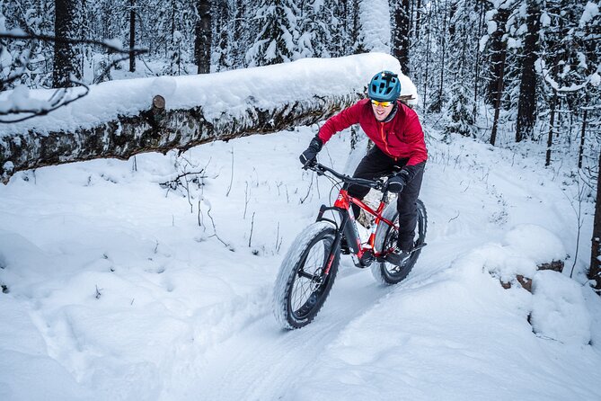 Private Electric Fat Bike Winter Tour in Rovaniemi - Why this two-hour ride is different