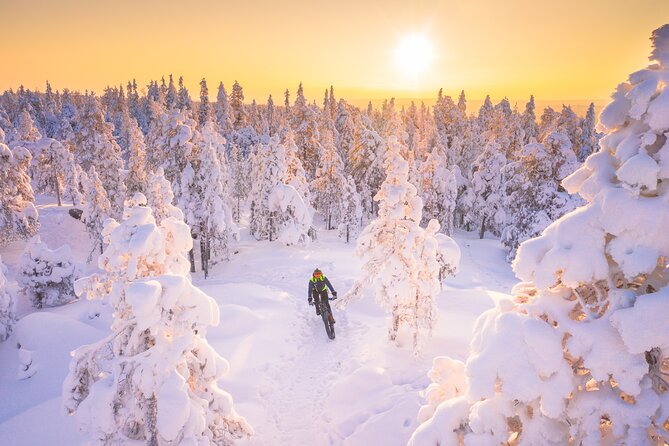 Private Electric Fat Bike Winter Tour in Rovaniemi - Five minutes to the Kemijoki River