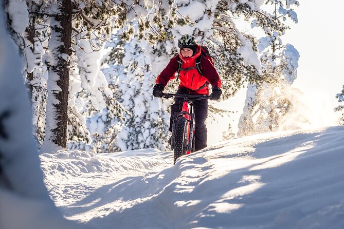 Private Electric Fat Bike Winter Tour in Rovaniemi - Gear, clothing, and physical effort