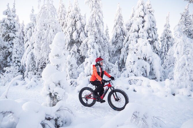 Private Electric Fat Bike Winter Tour in Rovaniemi - Starting at Hostel Café Koti