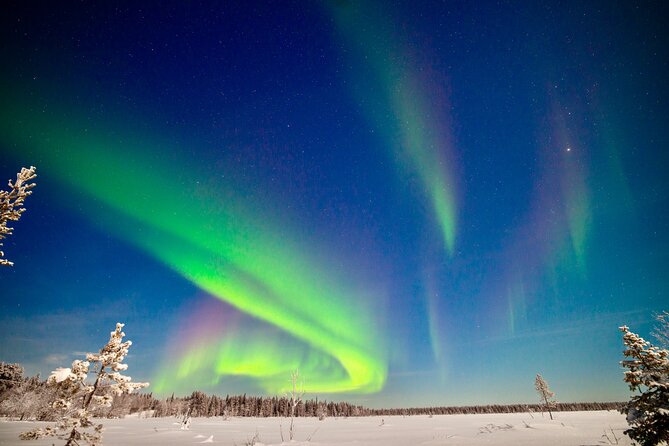 Private Group: Northern Lights Hunt 4x4 SUV with Aurora guarantee - Key points to know before booking