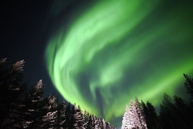 Private Group: Northern Lights Hunt 4x4 SUV with Aurora guarantee - Why the flexible route matters in Levi
