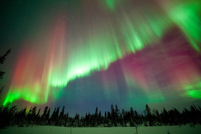 Private Group: Northern Lights Hunt 4x4 SUV with Aurora guarantee - Is $324.41 per person good value?