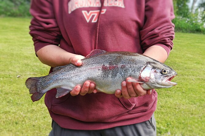 Private Guided Fishing Boat Tour in Rovaniemi - Who Gets the Best Value for $133.81?