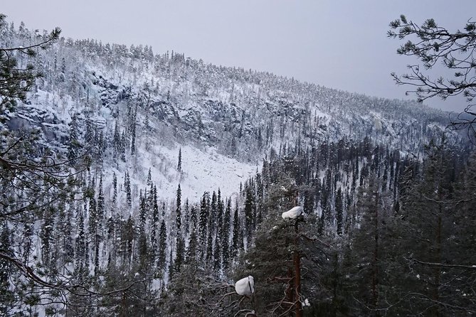 Private Korouoma Canyon Tour - A private drive from Rovaniemi