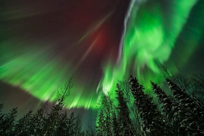 Private Northern Lights Hunting Tour Rovaniemi - Booking timing and useful planning details