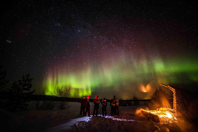 Private Northern Lights photography tour in Rovaniemi - Guides who add more than camera help