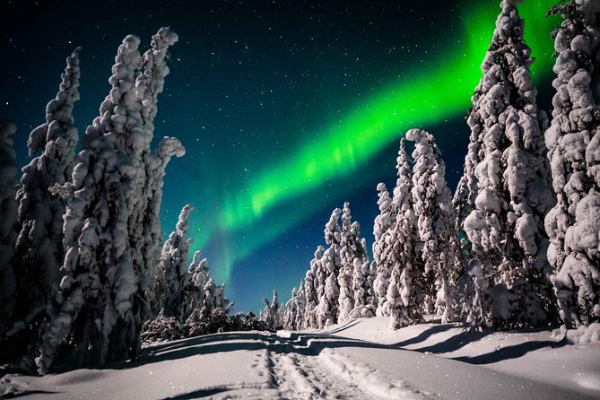 Private Northern Lights photography tour in Rovaniemi - Who will get the most from this Aurora hunt