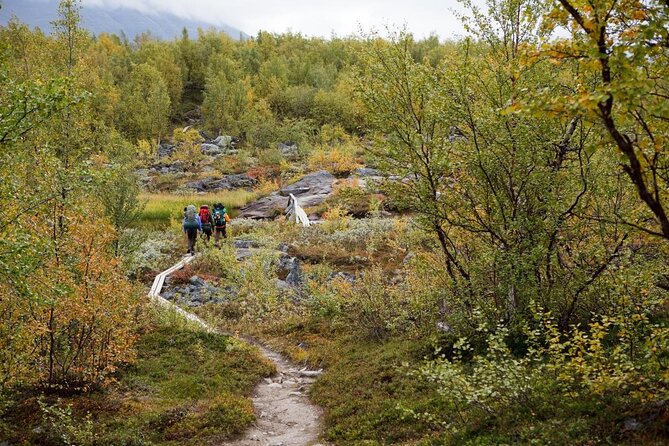Private Northern Lights Tour With Skis Or Snowshoes in Pyhä - Leaving Pyhä Behind After Dark
