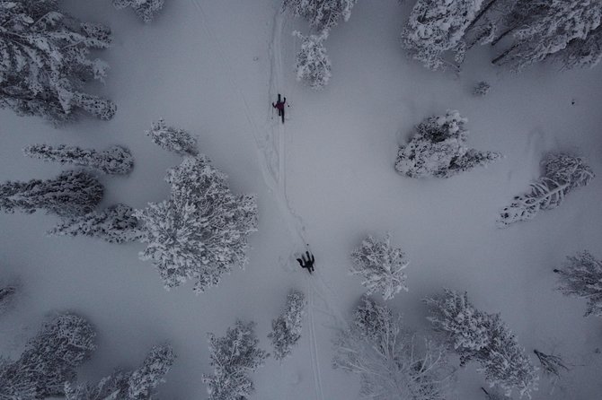 Private Northern Lights Tour With Skis Or Snowshoes in Pyhä - Picking Between Snowshoes and OAC Skis