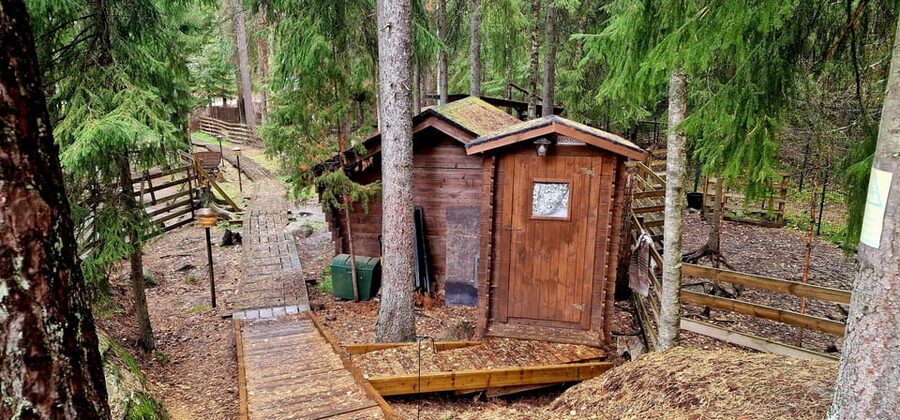PRIVATE Reindeer Park Adventure by VIP Car - A quiet forest stop with a short clock