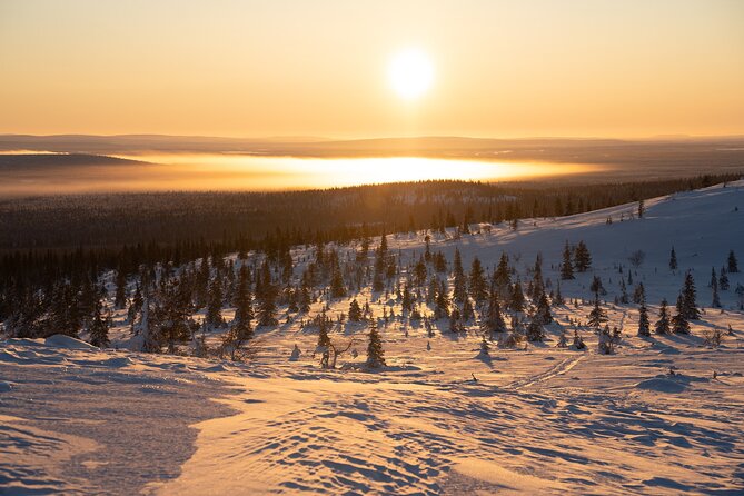 Private Snowshoe or Ski Adventure in Lapland from Rovaniemi - Reading the forest through tracks and trees