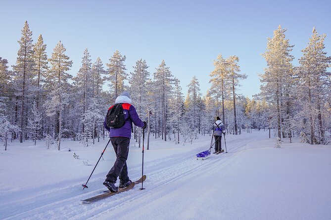 Private Snowshoe or Ski Adventure in Lapland from Rovaniemi - What seven hours really means