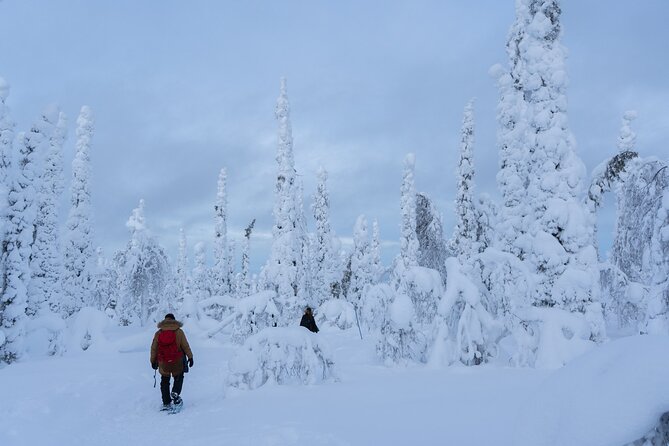 Private Snowshoe or Ski Adventure in Lapland from Rovaniemi - Is $1,183.48 good value?