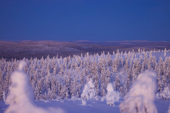 Private Snowshoe or Ski Adventure in Lapland from Rovaniemi - Snowshoes, skis, and the level of effort