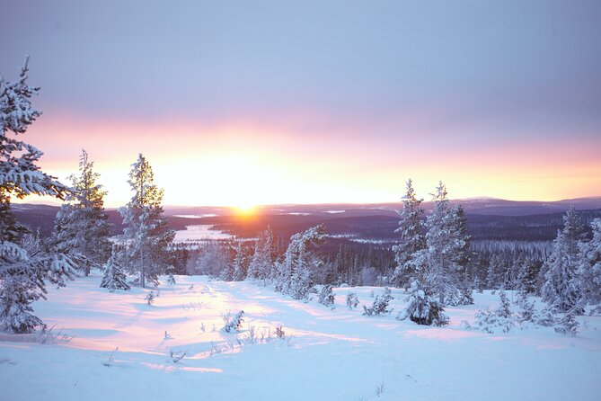 Private: Snowshoeing Safari in spectacular National Park - Leaving Levi for the Pallas fells
