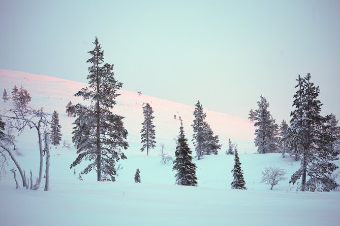 Private: Snowshoeing Safari in spectacular National Park - Who will get the most from this outing