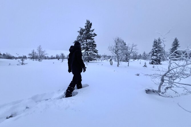 Private: Snowshoeing Safari in spectacular National Park - Snowshoeing through Pallas-Yllastunturi National Park