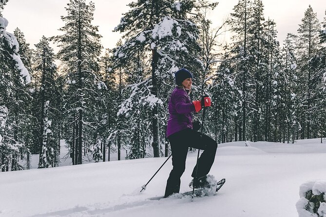 Private Snowshoeing Tour In Pyhätunturi With A Local Guide - What three hours in Pyhätunturi really includes