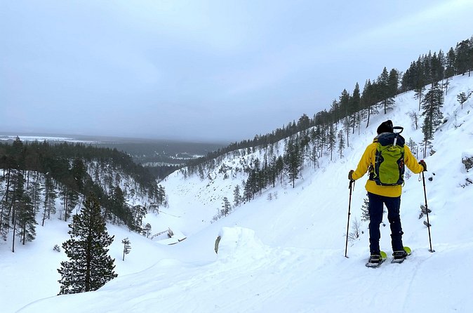 Private Snowshoeing Tour In Pyhätunturi With A Local Guide - What the strongest feedback tells you