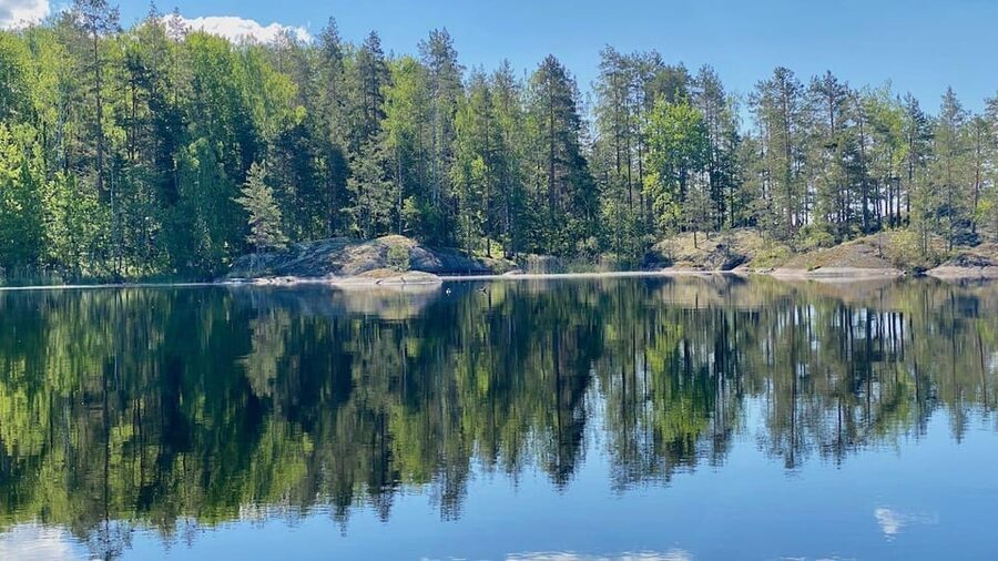 Puumala: Lake Saimaa Seal Watching Cruise - Key points at a glance