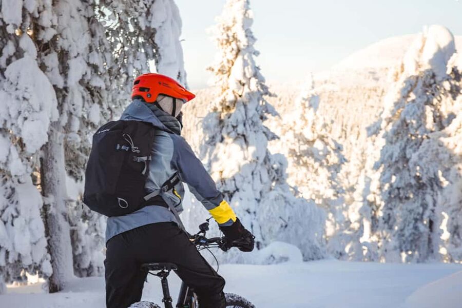 Pyhätunturi: Electric Fatbike Tour in Finnish Lapland - What the guide adds to the ride