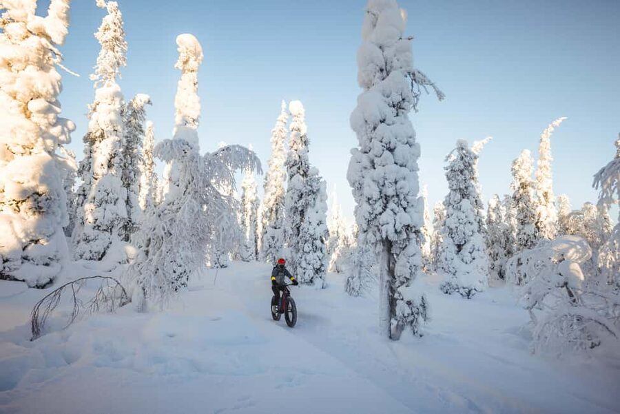 Pyhätunturi: Electric Fatbike Tour in Finnish Lapland - Is the $133 price fair?