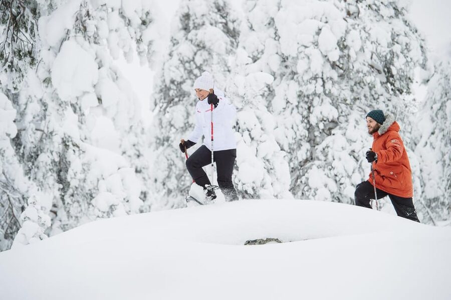 Pyhätunturi: Scenic Snowshoeing Tour in Finnish Lapland - Clothing, snacks, and cold-weather planning