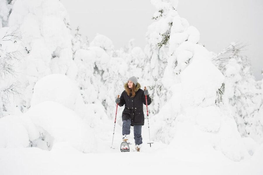 Pyhätunturi: Scenic Snowshoeing Tour in Finnish Lapland - A possible reindeer stop on the way back