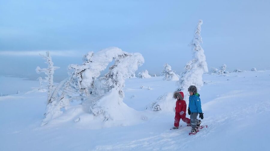 Pyhätunturi: Scenic Snowshoeing Tour in Finnish Lapland - Returning by chairlift