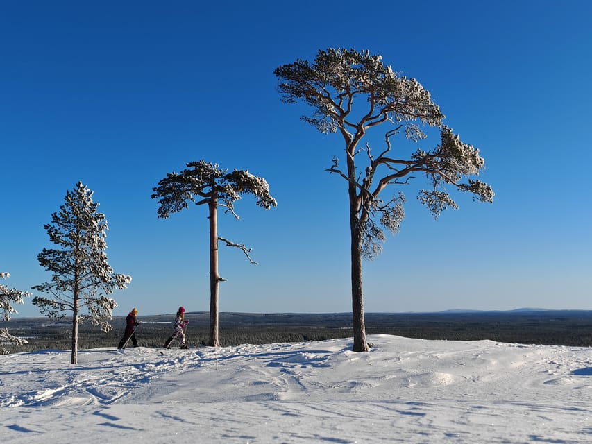 Pyhätunturi: Try Wilderness Skiing in Finnish Lapland - What the activity feels like for beginners