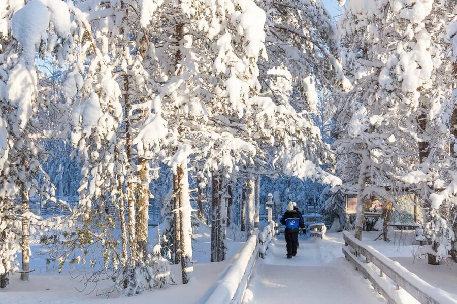 Ranua: Wildlife Park Entrance Ticket - Polar bear viewing, with realistic expectations