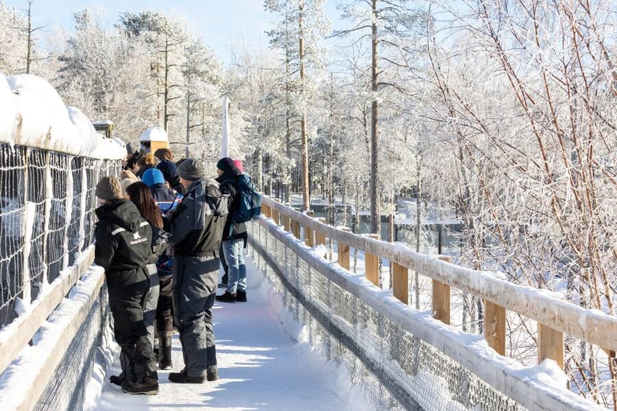 Ranua: Wildlife Park Entrance Ticket - Who will enjoy Ranua most
