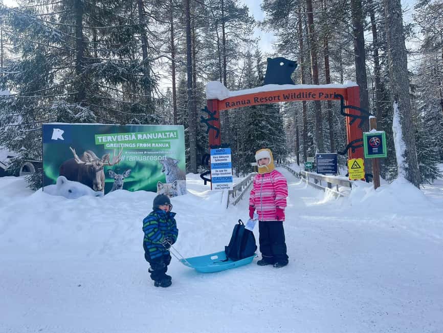 Ranua Wildlife zoo tour with lunch buffet included - Polar Bears, Lynx, and Other Arctic Species