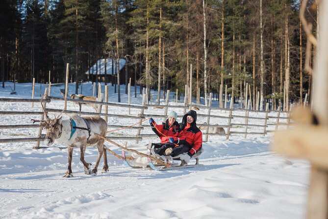 Reindeer Experience with Sledge Ride - How authentic does the experience feel?