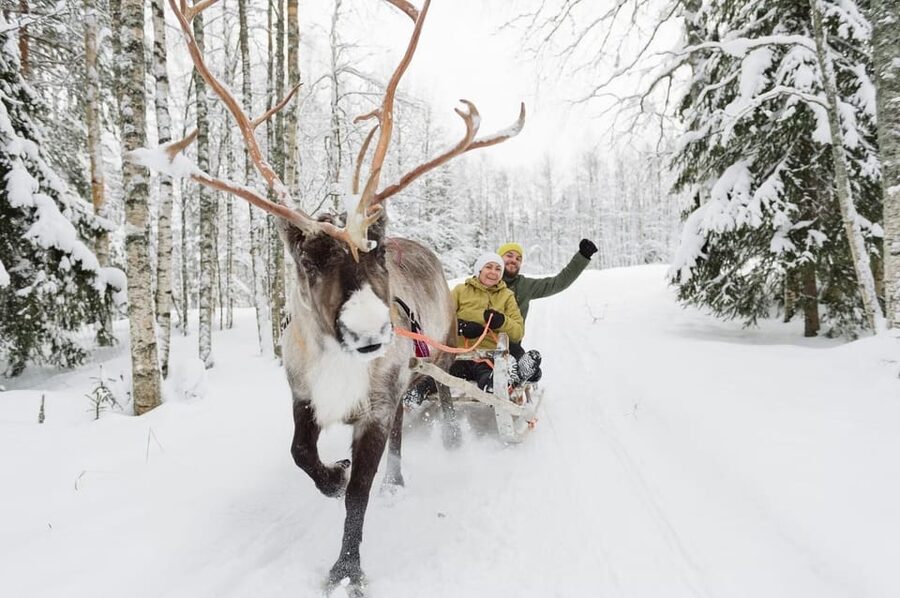 Reindeer Farm Visit with Sleigh Ride - Who should book this activity?